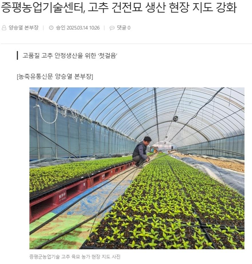 [보도]증평군농업기술센터, 고추 건전묘 생산 현장 지도 강화