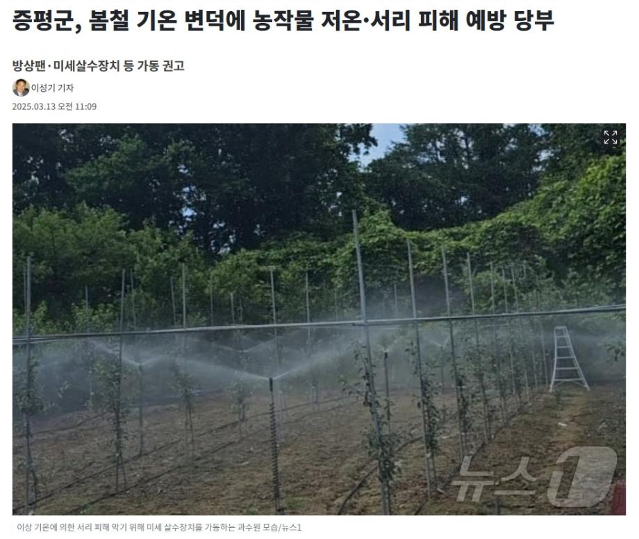 [보도]증평군, 봄철 기온 변덕에 농작물 저온, 서리 피해 예방 당부