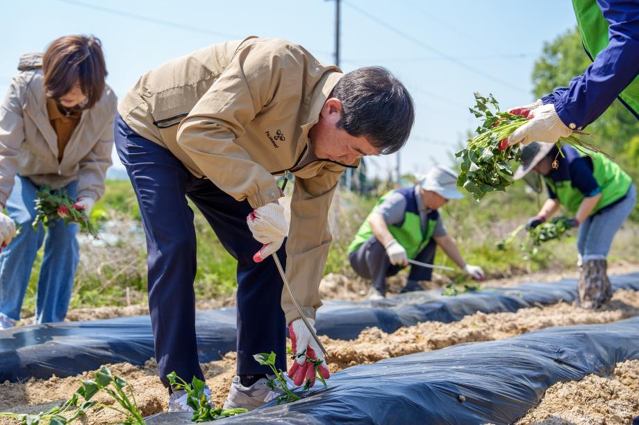 지역사회보장협의체 고무마 심기