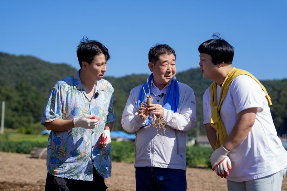 인삼 관련 KBS 녹화