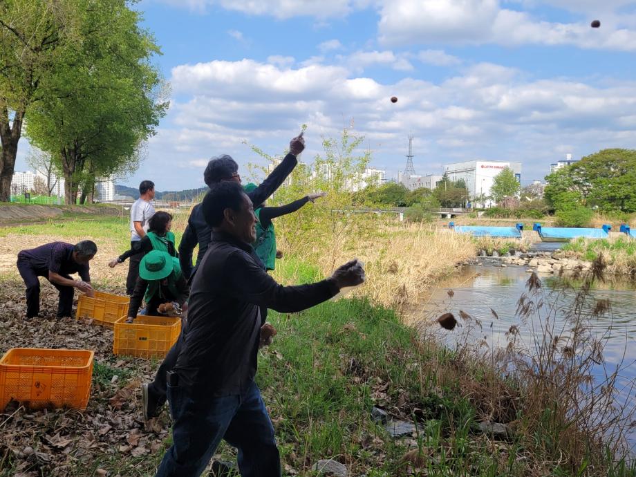 증평지역자활센터, EM흙공으로 만드는 맑은 보강천