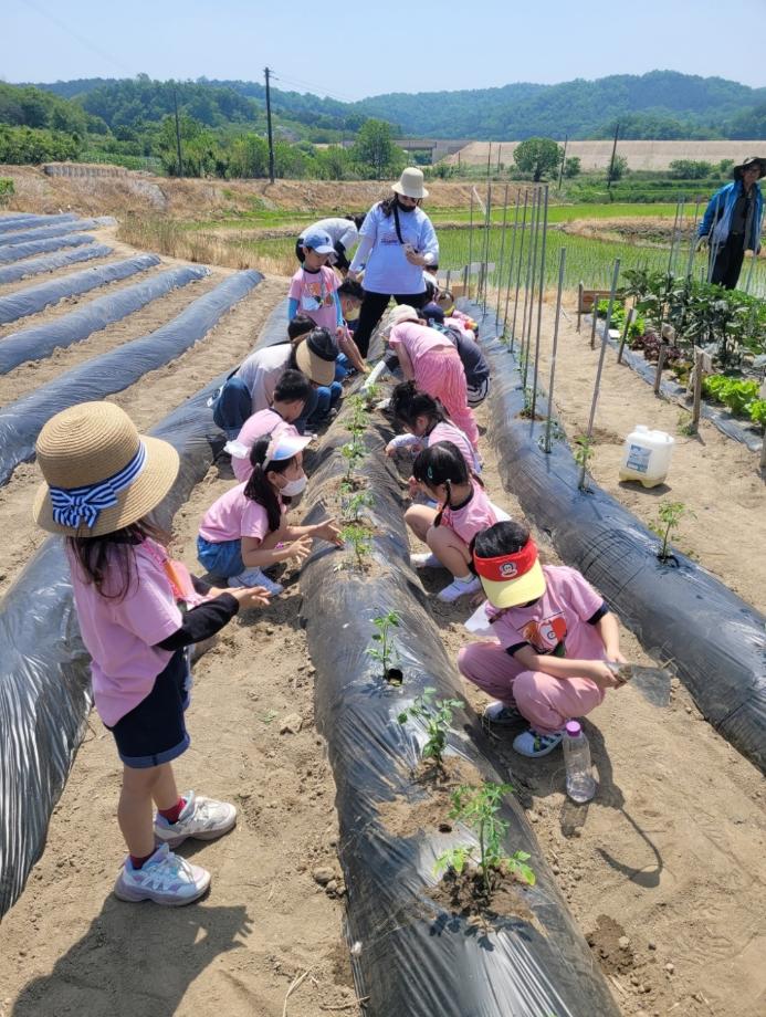 증평 정안농촌체험휴양마을, 2025년 충북도 백미(白眉) 명품마을 선정