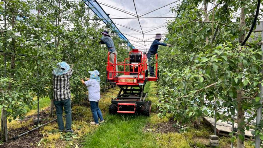 증평군,‘증평형 일손더하기’ 조기 가동...농번기 인력난 선제 대응