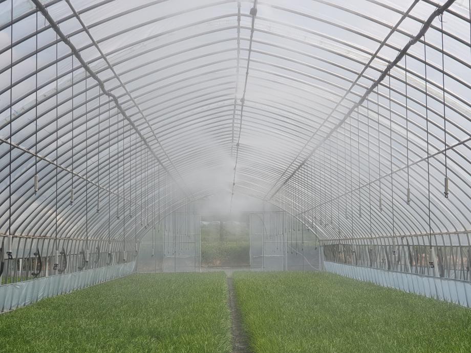 증평군, 이상 기후 대응 종합관리 기술보급 시범사업 완료