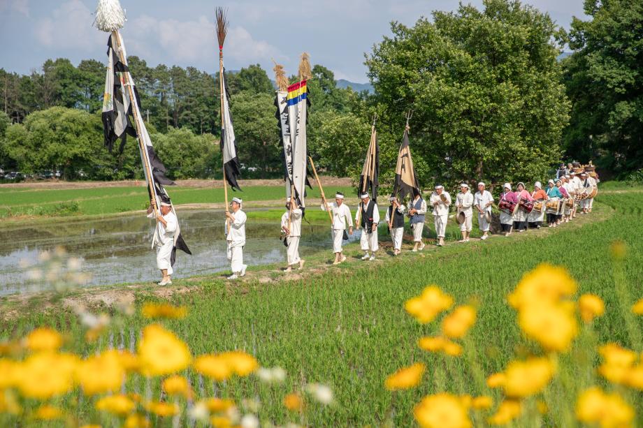 증평 장뜰두레농요 충북도 무형 유산 신청 추진